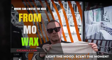 Where to Stream 'The Man From Mo'Wax' Documentary Online