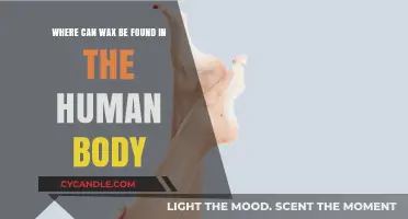 Unveiling the Surprising Locations of Wax in the Human Body