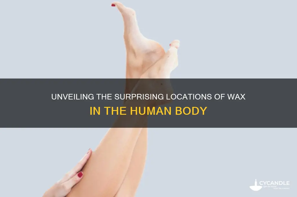 where can wax be found in the human body