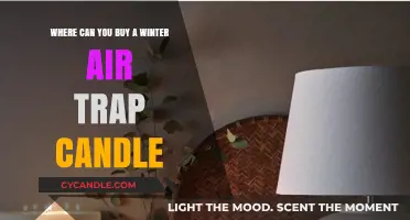 Discover the Best Places to Buy Winter Air Trap Candles