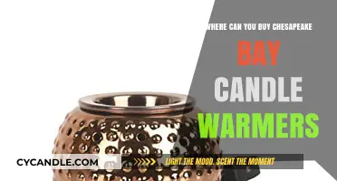 Discover the Best Retailers for Chesapeake Bay Candle Warmers