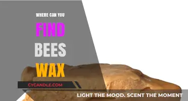 Discovering Beeswax: Natural Sources and Sustainable Harvesting Locations