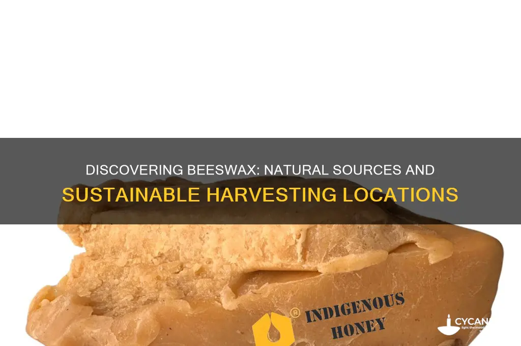 where can you find bees wax