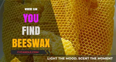 Discovering Beeswax: Natural Sources and Sustainable Harvesting Locations