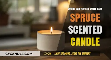 Discover White Barn Spruce Scented Candles: Top Retailers and Online Sources