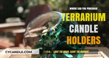 Discover Unique Terrarium Candle Holders: Top Retailers and Online Shops