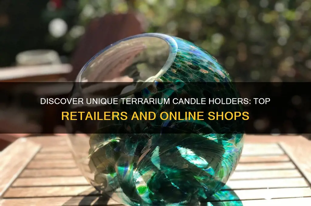 where can you purchase terrarium candle holders