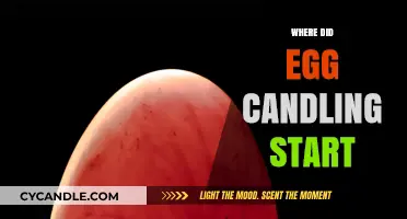 The Ancient Art of Egg Candling: Origins