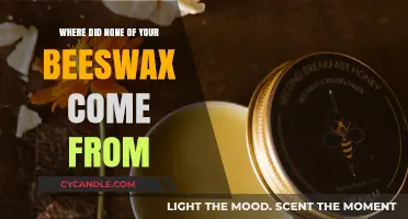 Unveiling the Mystery: The Surprising Origins of 'None of Your Beeswax