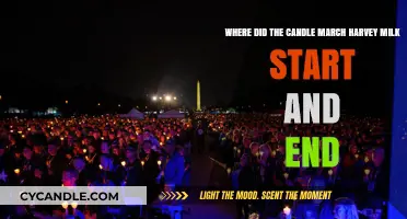 Harvey Milk's Candlelight Vigil: A March to Remember