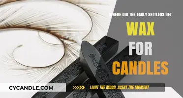 Early Settlers' Candle Wax Sources: Uncovering Ancient Illumination Secrets