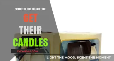 Unveiling Dollar Tree's Candle Sources: A Behind-the-Scenes Look