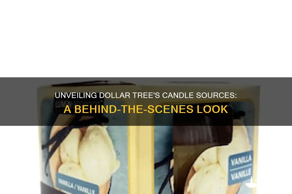 where do the dollar tree get their candles