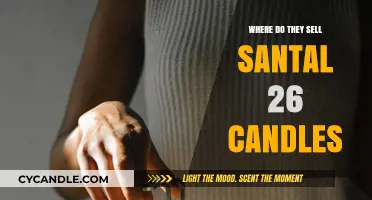 Shopping Guide: Santal 26 Candles