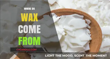 The Surprising Origins of Wax: From Nature to Your Home