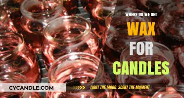 From Nature to Flame: Unveiling the Surprising Sources of Candle Wax
