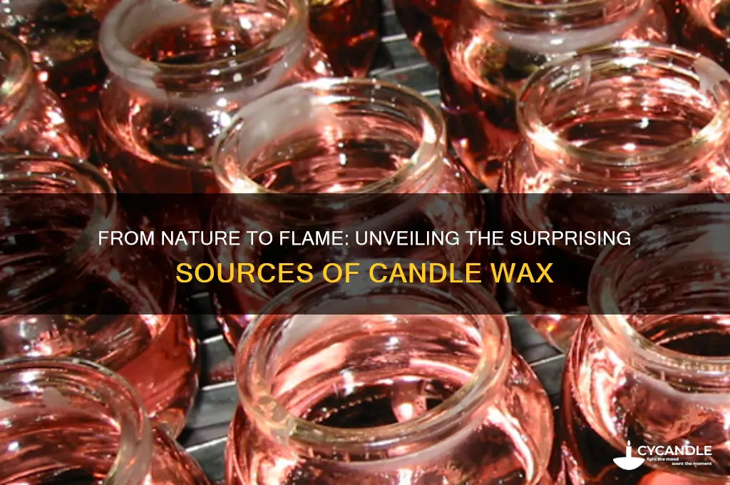 where do we get wax for candles