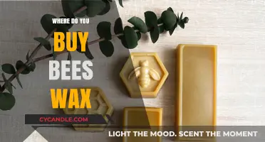 Where to Buy Beeswax: Top Sources for Quality and Sustainability