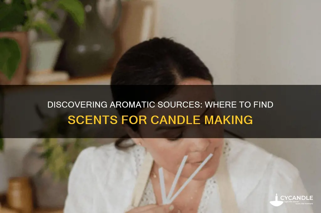 where do you get the scents to make candles