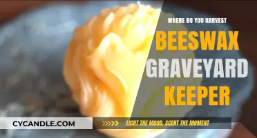 Harvesting Beeswax in Graveyard Keeper: Locations and Tips for Success