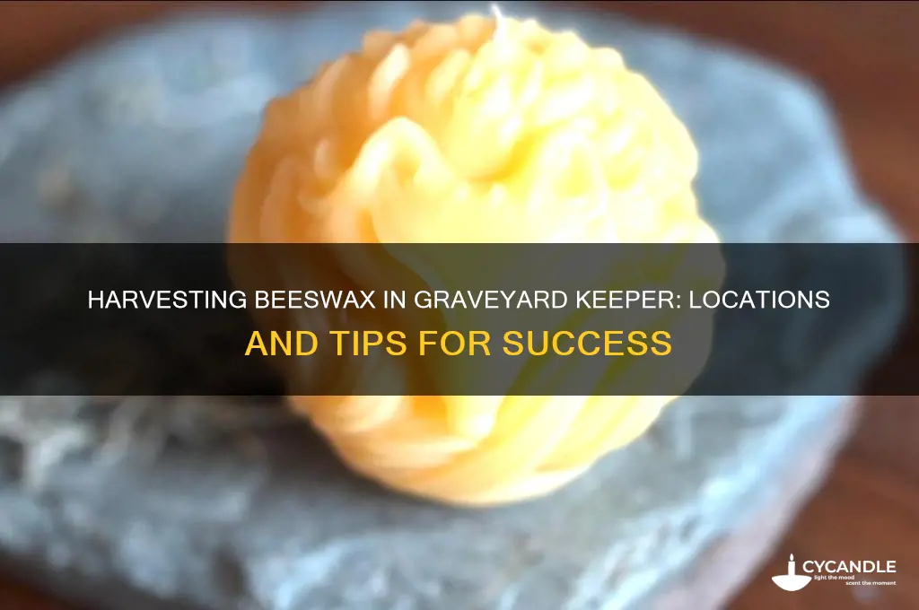 where do you harvest beeswax graveyard keeper