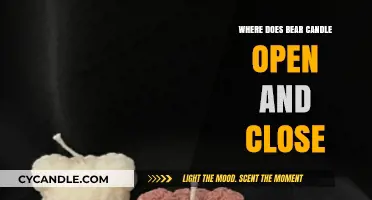 Bear Candle Trading: Open and Close Strategy