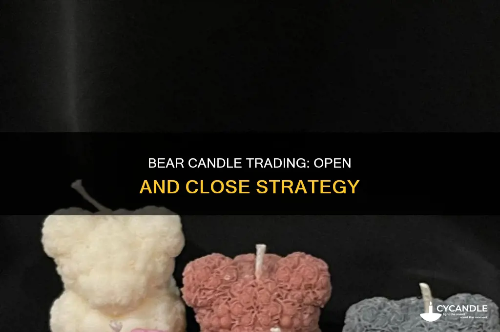 where does bear candle open and close