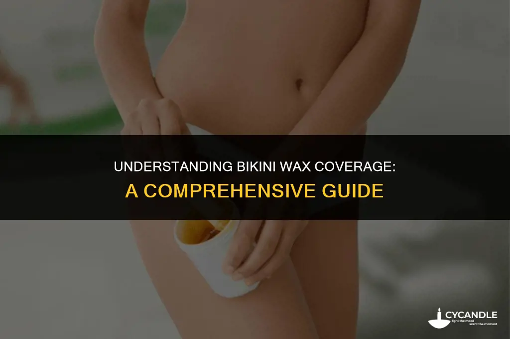 where does bikini wax cover
