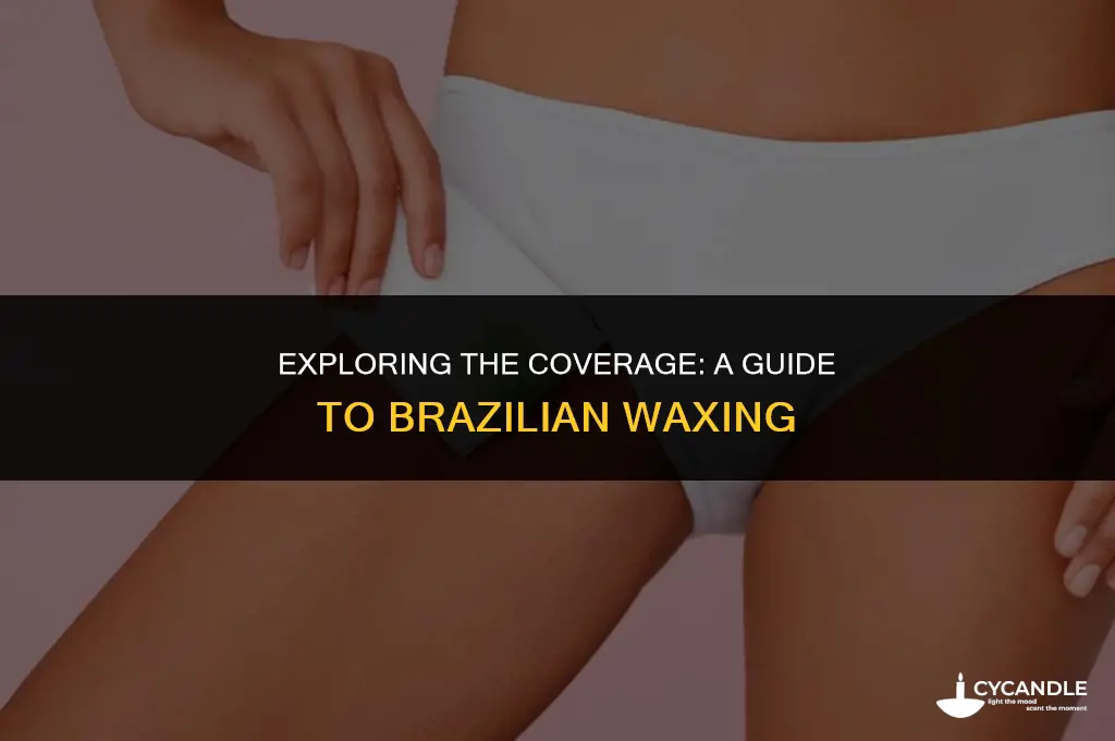 where does brazilian wax cover