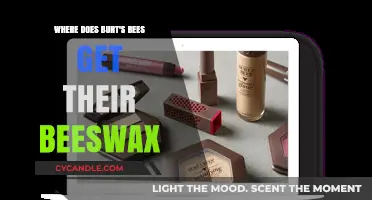 Unveiling Burt's Beeswax Source: A Sustainable Journey to Quality