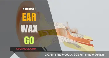 The Mysterious Journey of Ear Wax: Where Does It Go?