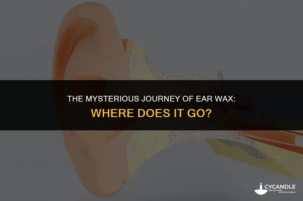 where does ear wax go