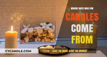 Unveiling the Origins: Where Does Candle Wax Truly Come From?