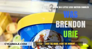 The Little-Known Location of Brendon Urie's Sixteen Candles