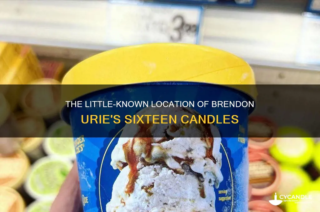 where in a little less sixteen candles was brendon urie