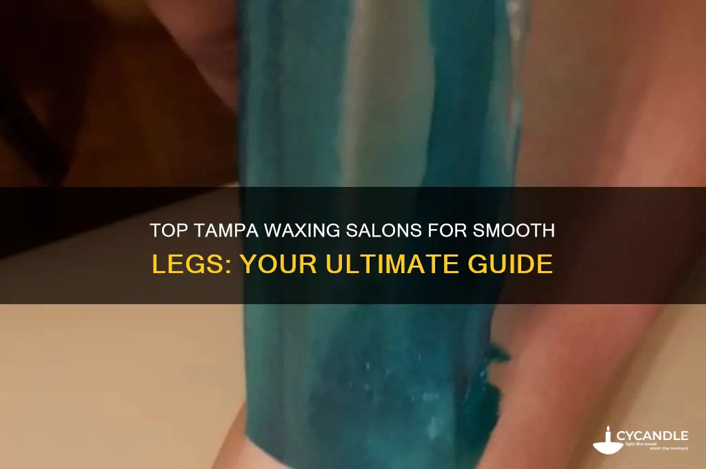 where in tampa can i get my legs waxed