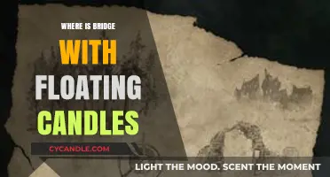 The Magical Bridge of Floating Candles