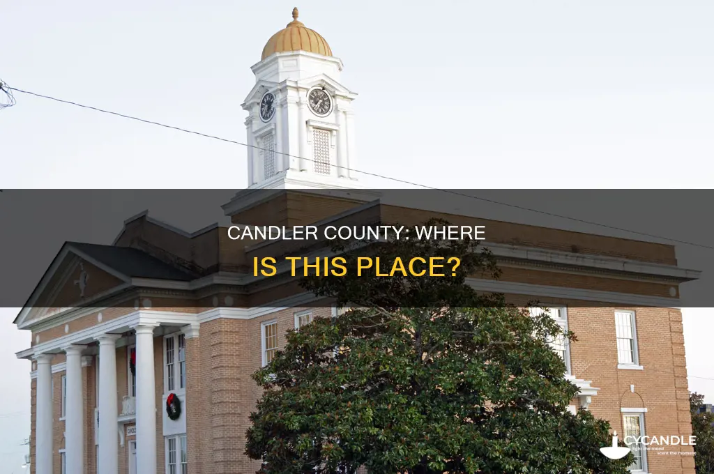 where is candler county