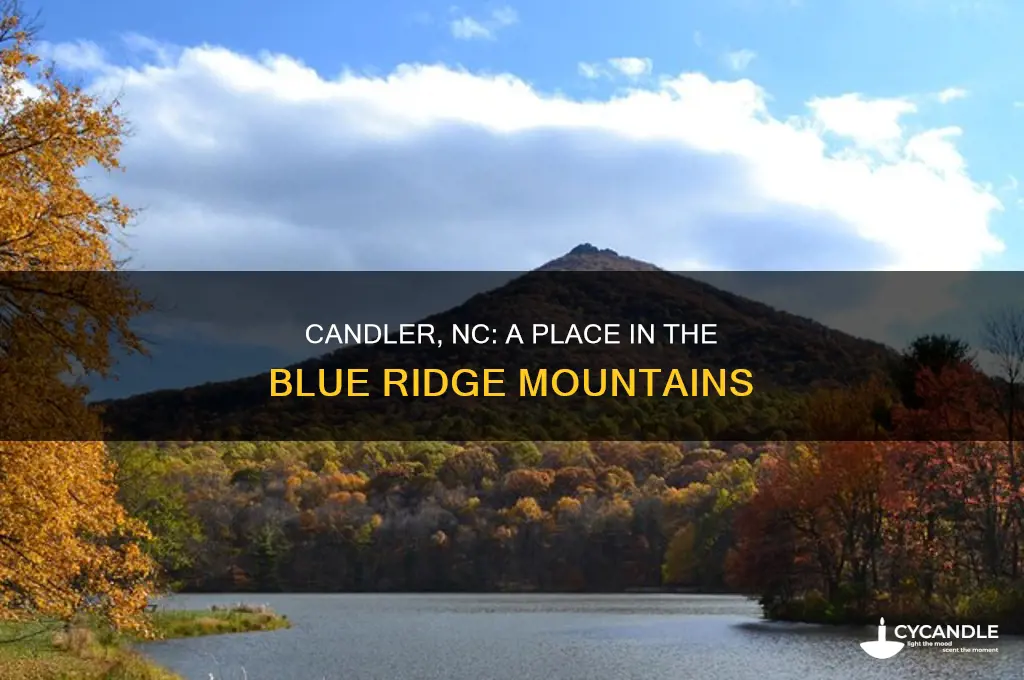 where is candler nc located