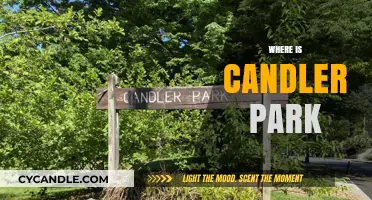Exploring Atlanta: Candler Park's Location and Attractions