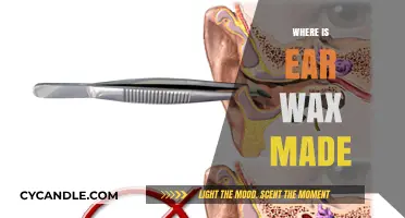 Exploring the Origins of Earwax: A Journey into the Human Ear Canal