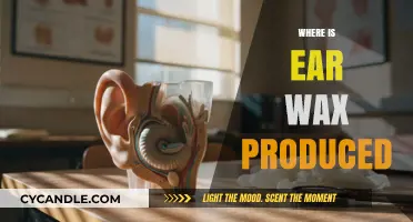 Unveiling the Mystery: Where Ear Wax is Produced