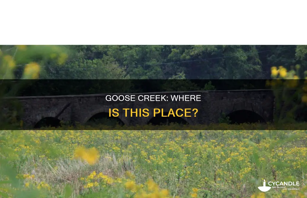 where is goose creek