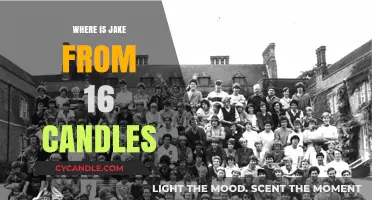 Jake Ryan's Location in 16 Candles: Unveiling the Mystery