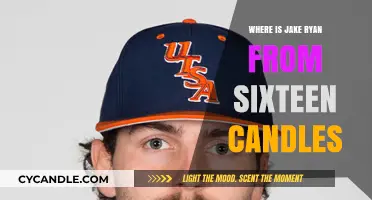 Jake Ryan's Hometown: A Look at Sixteen Candles