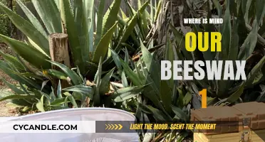 Where is Our Beeswax? Uncovering the Mystery of Mind Our Beeswax 1