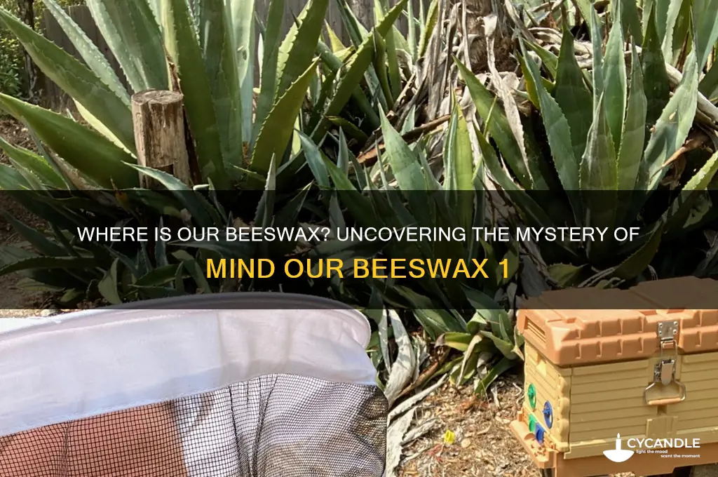 where is mind our beeswax 1