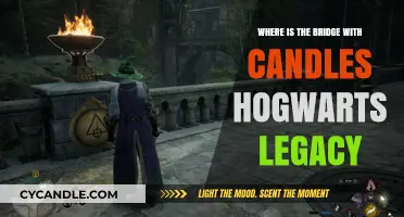 Finding Hogwarts Legacy's Candlelit Bridge