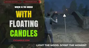 The Bridge of Floating Candles: A Magical Location