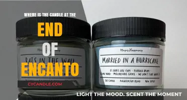 Encanto's Magical Candle: A Symbol of Family and Hope